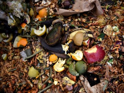 The future of composting