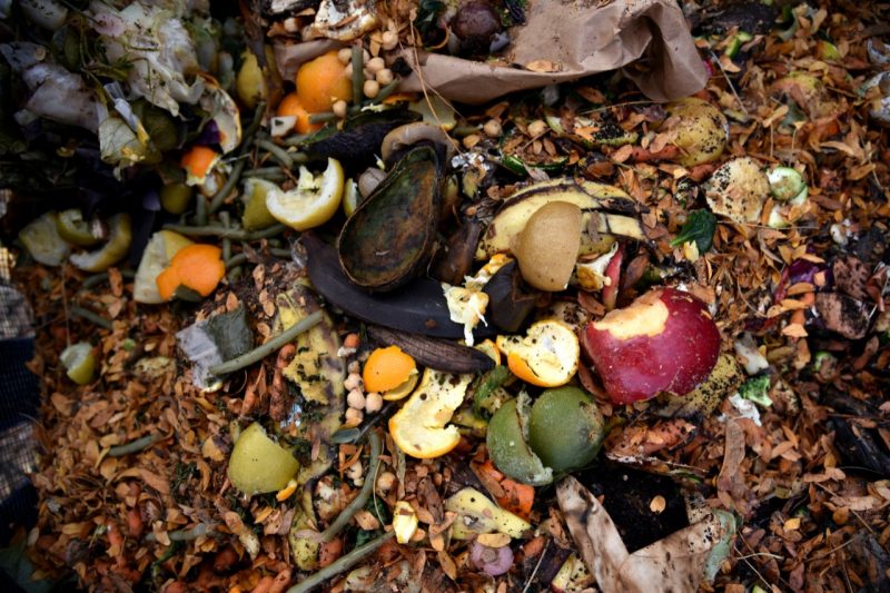 The future of composting