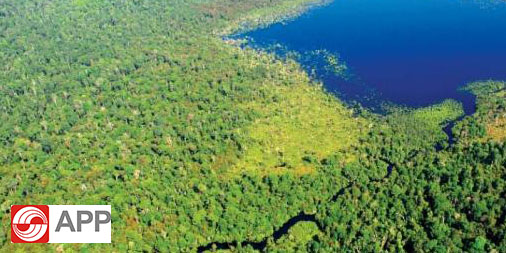 Asia Pulp & Paper Unveils Forest Monitoring Dashboard to Tackle Deforestation and Forest Fires