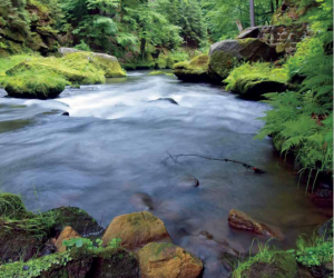 LABELCRAFT PRODUCTS LTD WINS 2020 FTA SUSTAINABILITY EXCELLENCE AWARD