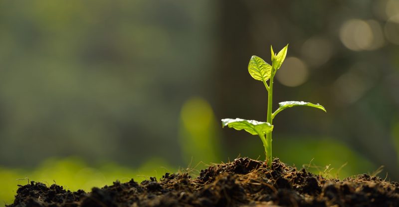 Danimer Scientific and PSI to Create Bio-Based, Home Compostable Film Packaging