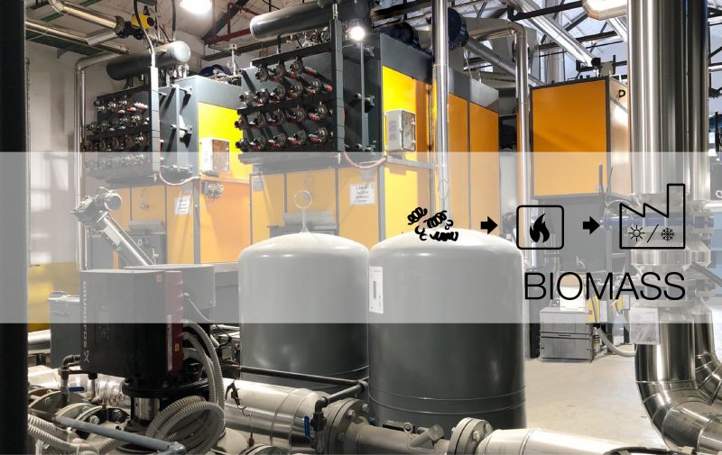Quadpack Wood inaugurates biomass plant