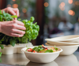 Stora Enso and Tingstad launch unique formed fiber food service bowls to replace plastics