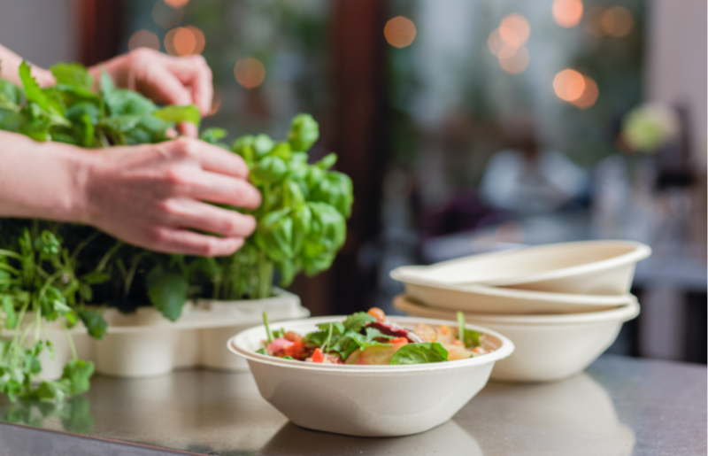 Stora Enso and Tingstad launch unique formed fiber food service bowls to replace plastics