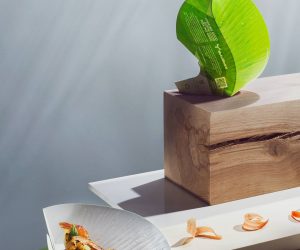 AN ALTERNATIVE TO PLASTIC PACKAGING – FOOD FOR THOUGHT