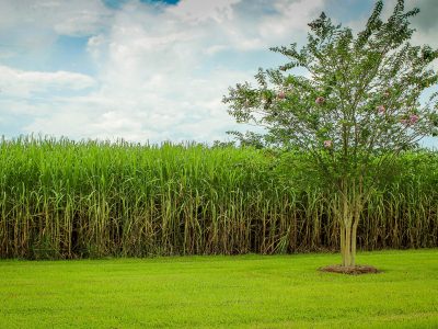 HYPNOS LAUNCHES NEW GROUND-BREAKING CARBON NEUTRAL ECO-PACKAGING SOLUTION