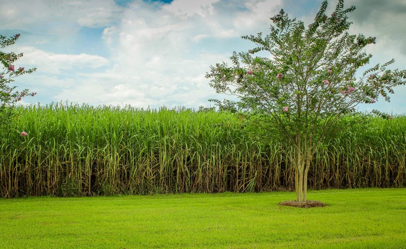 HYPNOS LAUNCHES NEW GROUND-BREAKING CARBON NEUTRAL ECO-PACKAGING SOLUTION