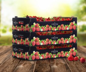 New corrugated berry packaging complements premium strawberries with top quality print