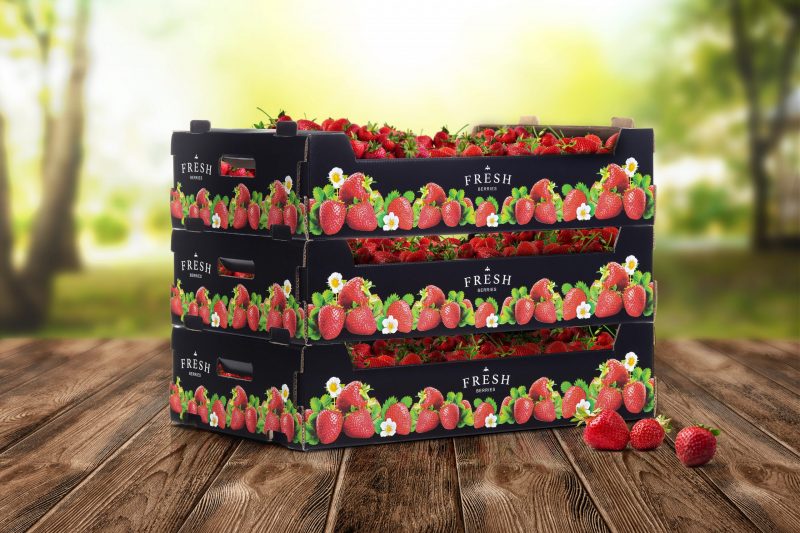 New corrugated berry packaging complements premium strawberries with top quality print