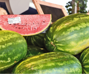 UPM Raflatac takes linerless labeling to new heights with OptiCut™