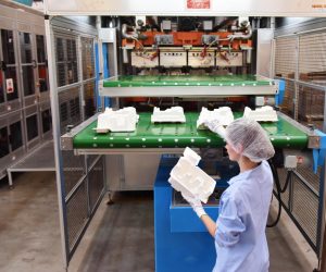 Food sector growth on menu for Fibrepak