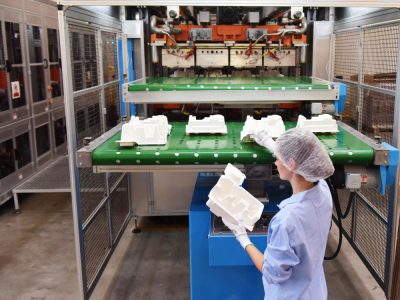 Food sector growth on menu for Fibrepak