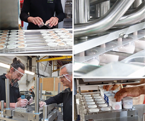 Synerlink – Sustainability is a Vital Link