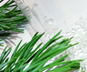 Advances in cellulose-based food packaging material move to testing phase
