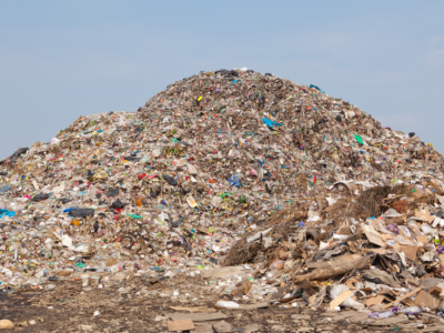 Whitehall advised to back compostable materials to increase food waste recycling