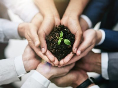 Loparex Expands Sustainable Portfolio with ISCC PLUS-Certified Solutions