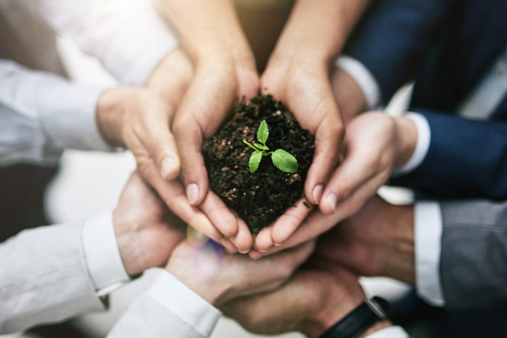 Loparex Expands Sustainable Portfolio with ISCC PLUS-Certified Solutions