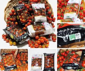 Gi.St.El. Plast adopts NatureFlex™ films for tomato wrapping