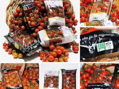 Gi.St.El. Plast adopts NatureFlex™ films for tomato wrapping