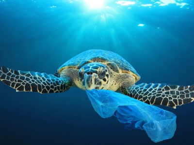 Evertis has joined the business call for a UN treaty on plastic pollution