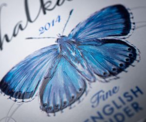 Reprographics to take fresh role in sustainable packaging design