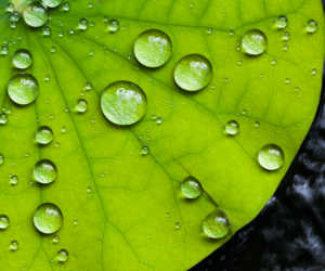 Evertis helps launch U.S. Plastics Pact Roadmap to 2025