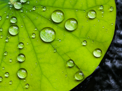 Evertis helps launch U.S. Plastics Pact Roadmap to 2025