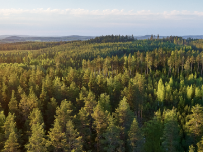 Metsä Board named on the Financial Times Climate Leaders 2021 list