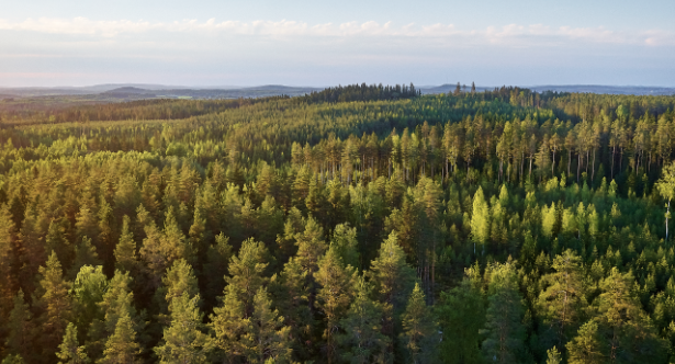 Metsä Board named on the Financial Times Climate Leaders 2021 list