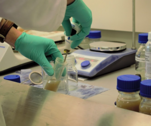 Research breakthrough signals end of fossil fuel plastic with new plant protein substitute