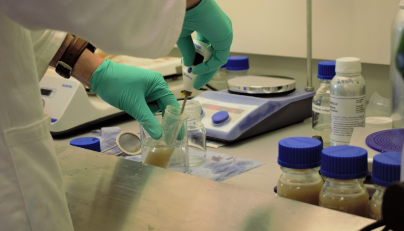 Research breakthrough signals end of fossil fuel plastic with new plant protein substitute