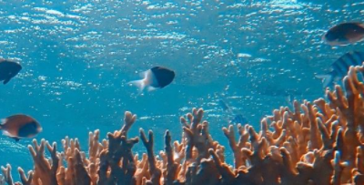 How the eCommerce industry can help save our oceans this World Water Week