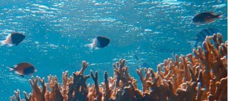 How the eCommerce industry can help save our oceans this World Water Week