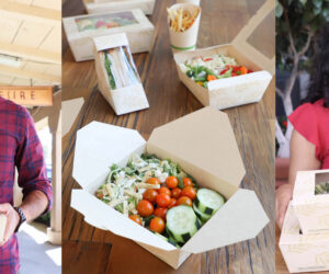 World Centric® Expands NoTree® Packaging Collection with 17 New 100% Tree-Free Compostable Products