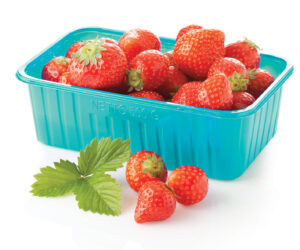 New biocompounds for extrusion and thermoforming