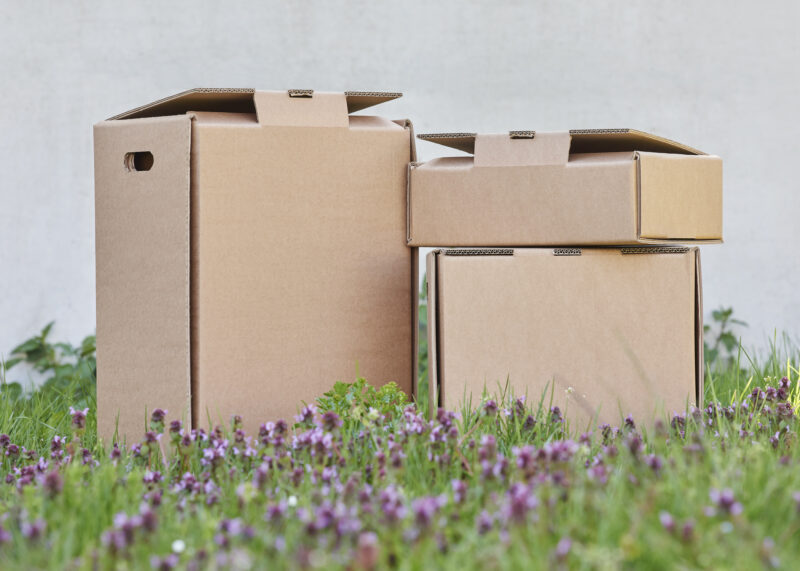 Packengeers have one goal: To develop and spread sustainable industrial packaging.