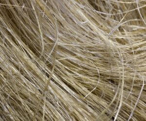 Packaging the benefits of wood and hemp