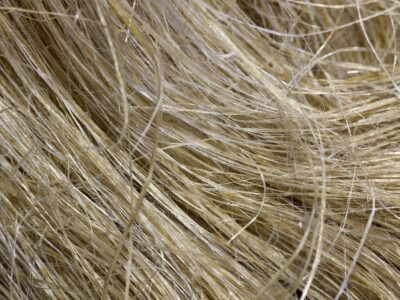 Packaging the benefits of wood and hemp