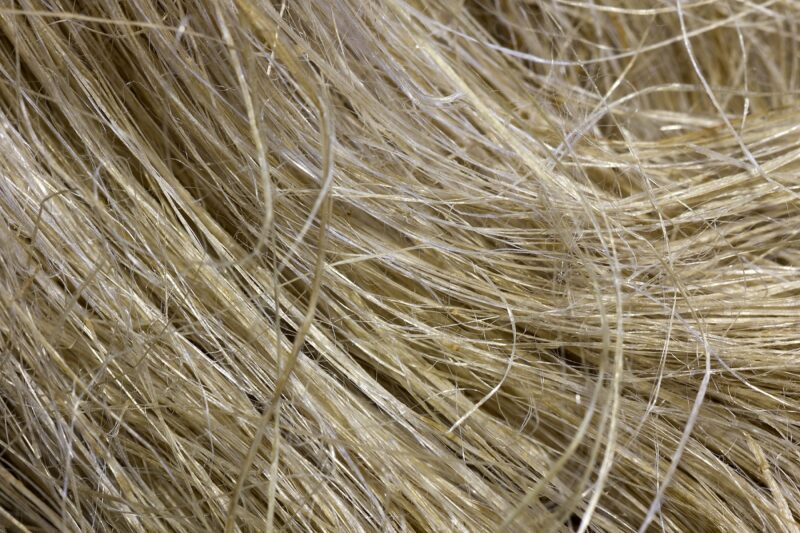Packaging the benefits of wood and hemp