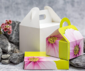 STP Stone Paper Products exhibit at Fachpack 2021