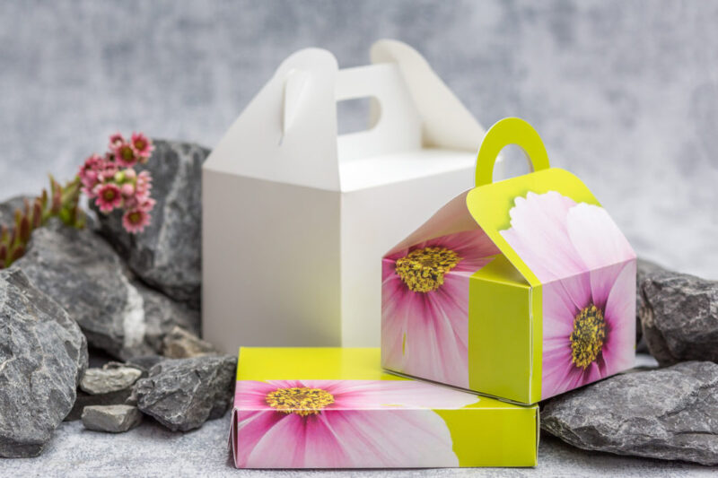 STP Stone Paper Products exhibit at Fachpack 2021