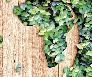 Sodexo UK&I sets ambitious new target to be carbon neutral by 2025 and lays out its roadmap to net zero by 2045