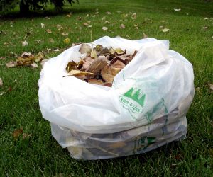 New Organics Recycling Program Allows Cortec® Corporation to Use Its Own Compostable Bags