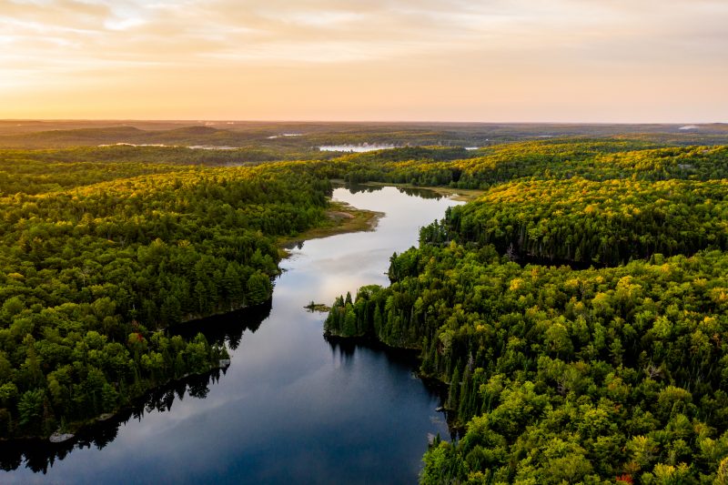 IMG GROUP IMPLEMENTS REVOLUTIONARY TECHNOLOGY THAT IS A GAME CHANGER IN FIGHTING AGAINST CLIMATE CHANGE