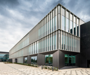 Next-generation plastic replacement business Xampla appoints award-winning London creative agency to create revolutionary brand