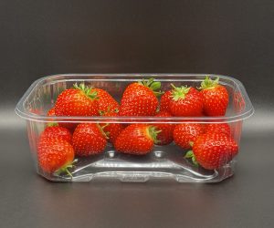 Waddington Europe offers new punnet that’s easier to recycle, uses less plastic