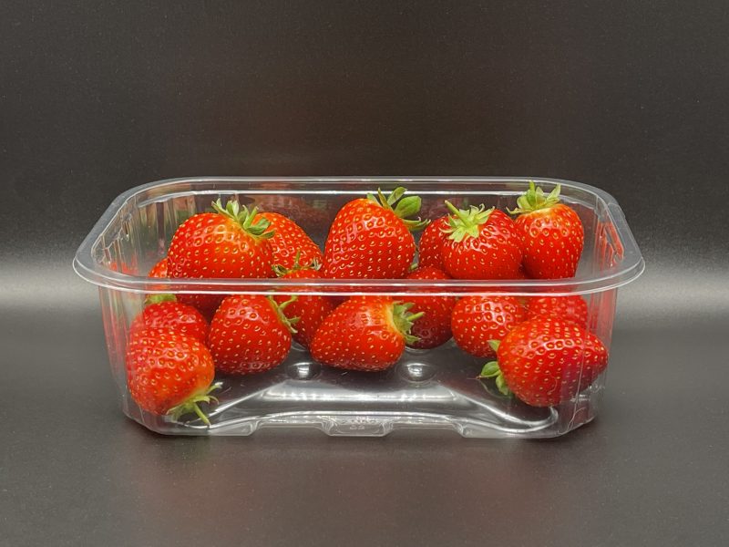 Waddington Europe offers new punnet that’s easier to recycle, uses less plastic