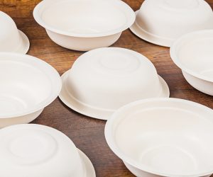 HOW TO CONVERT FROM SINGLE-USE PLASTIC TO PLANT-BASED FIBER BOWLS