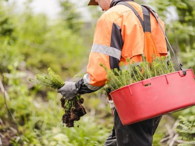 Stora Enso sets ambitious goal of 100% regenerative solutions by 2050 and announces new 2030 sustainability targets