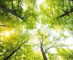 Airnov to exhibit sustainable solutions at upcoming CPhI Worldwide expo in Milan